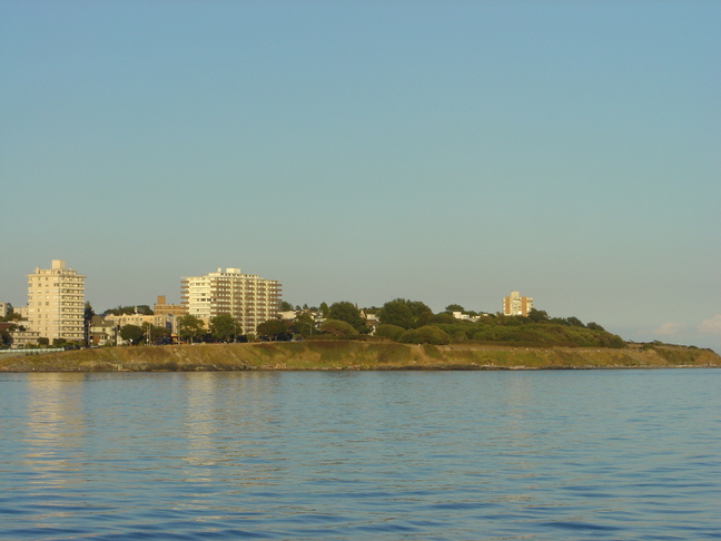 DSC01513
